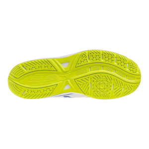 V1GA258039